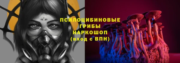 амф Абинск