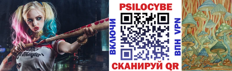 Псилоцибиновые грибы MAGIC MUSHROOMS  Кандалакша 